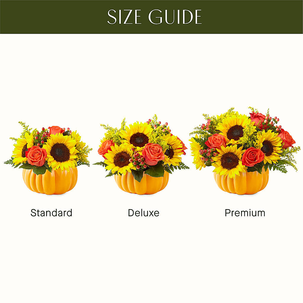 Pick of the Patch Pumpkin Bouquet – BELLE FLEURS & DESSINS, Lexington KY