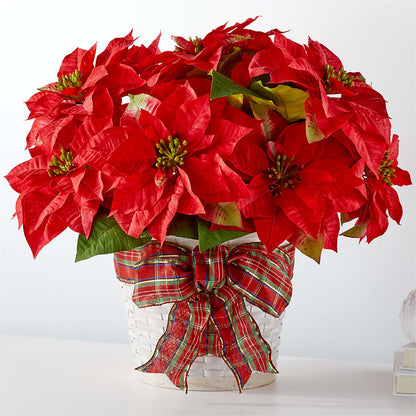 Happiest Holidays Poinsettia – BELLE FLEURS & DESSINS, Lexington KY