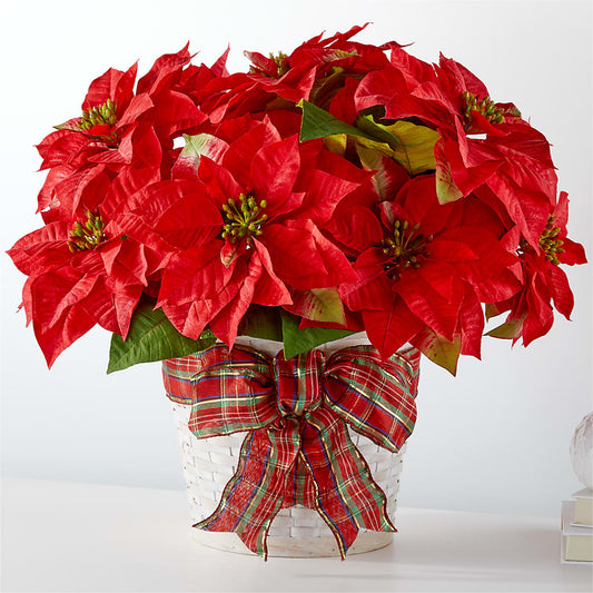Happiest Holidays Poinsettia – BELLE FLEURS & DESSINS, Lexington KY