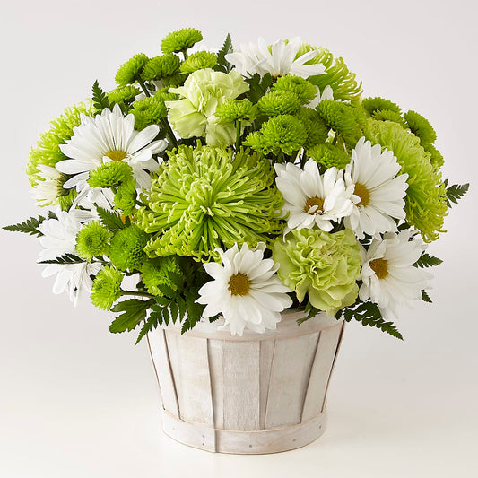 Lucky Charm Basket (Standard) – BELLE FLEURS & DESSINS, Lexington KY