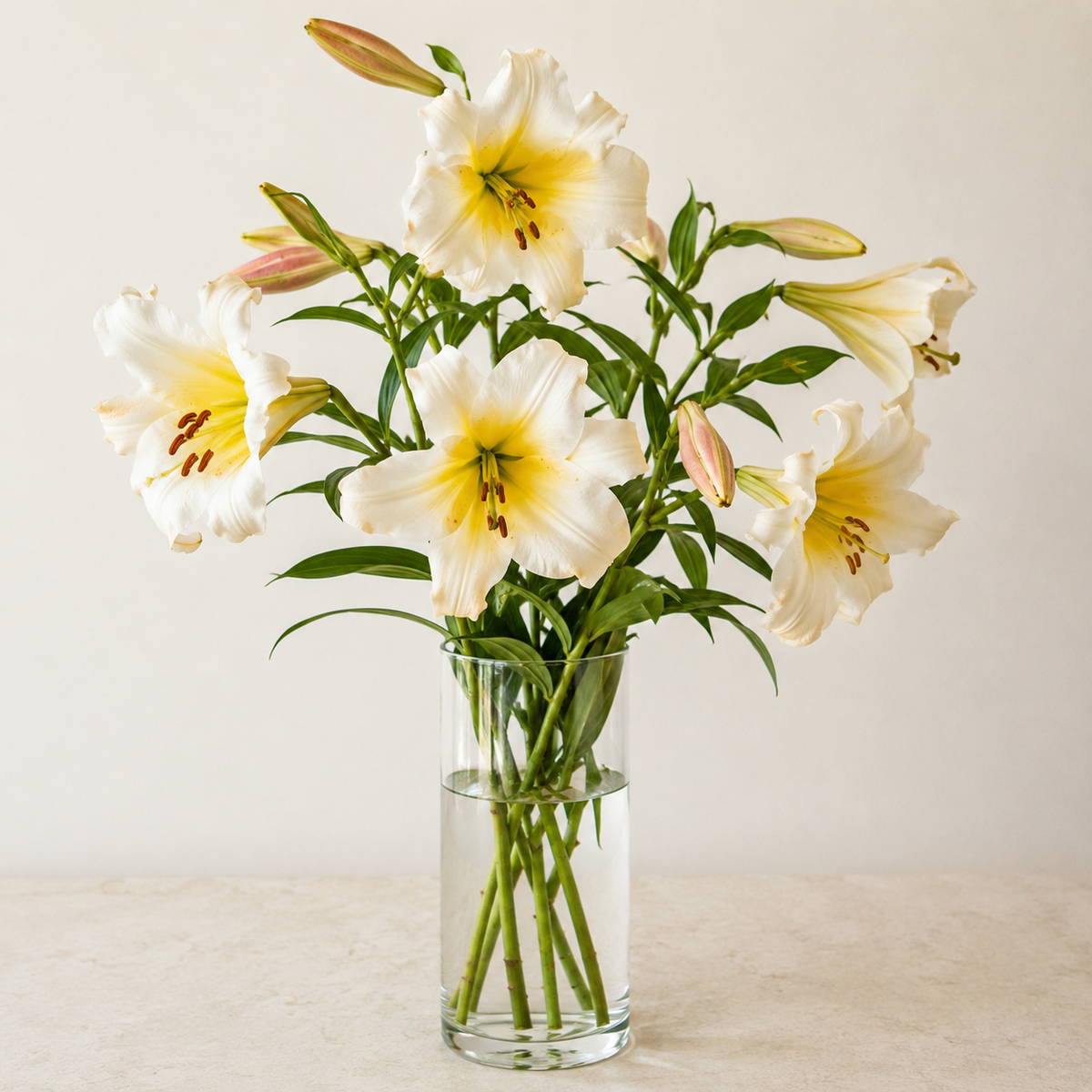 Golden Lily Grace – BELLE FLEURS & DESSINS, Lexington KY