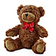 Adorable Plush Bear – BELLE FLEURS & DESSINS, Lexington KY