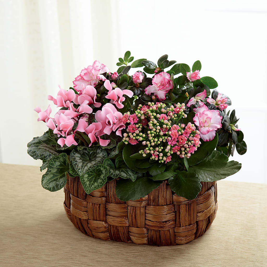 Pink Assortment – BELLE FLEURS & DESSINS, Lexington KY