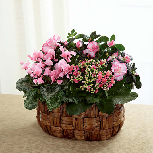 Pink Assortment – BELLE FLEURS & DESSINS, Lexington KY