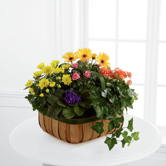 Gentle Blossoms Basket – BELLE FLEURS & DESSINS, Lexington KY