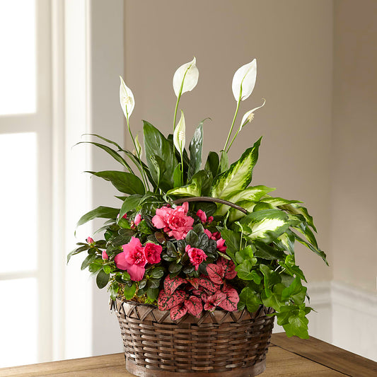 Dream in Pink Dishgarden – BELLE FLEURS & DESSINS, Lexington KY