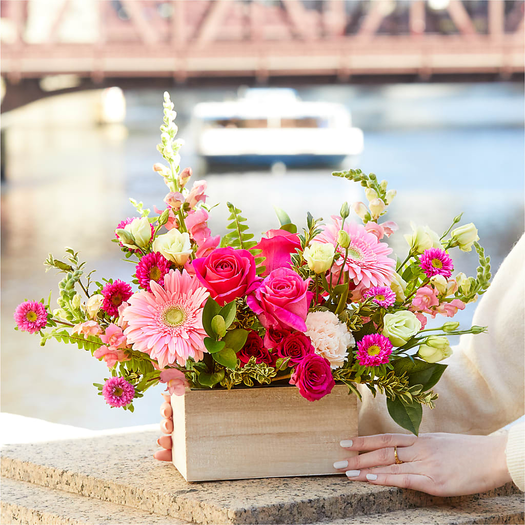 Too Cute Bouquet – BELLE FLEURS & DESSINS, Lexington KY