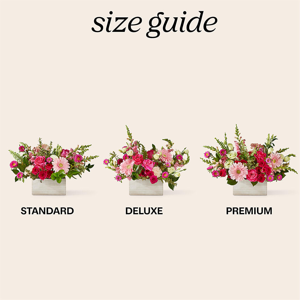 Too Cute Bouquet – BELLE FLEURS & DESSINS, Lexington KY