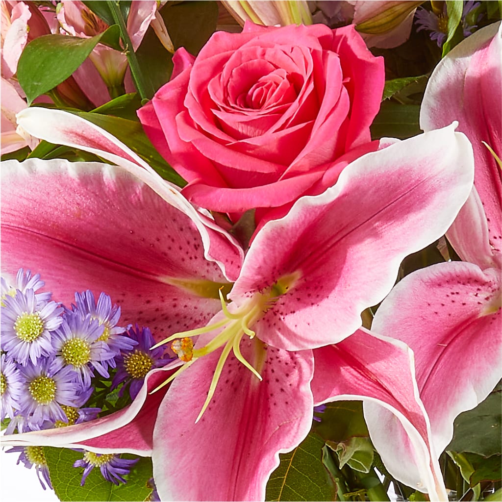 Written in the Stars Bouquet – BELLE FLEURS & DESSINS, Lexington KY