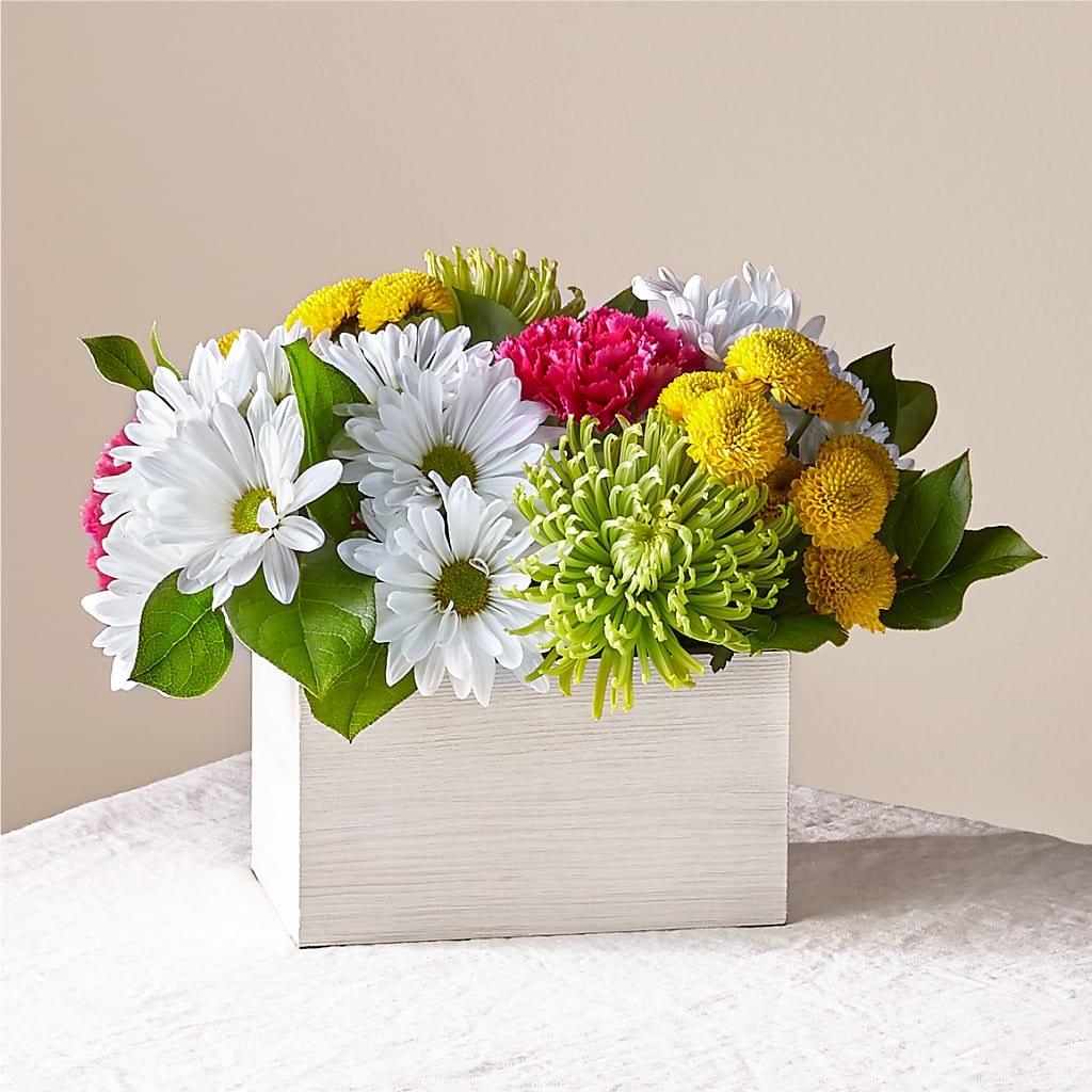 Sorbet Bouquet – BELLE FLEURS & DESSINS, Lexington KY