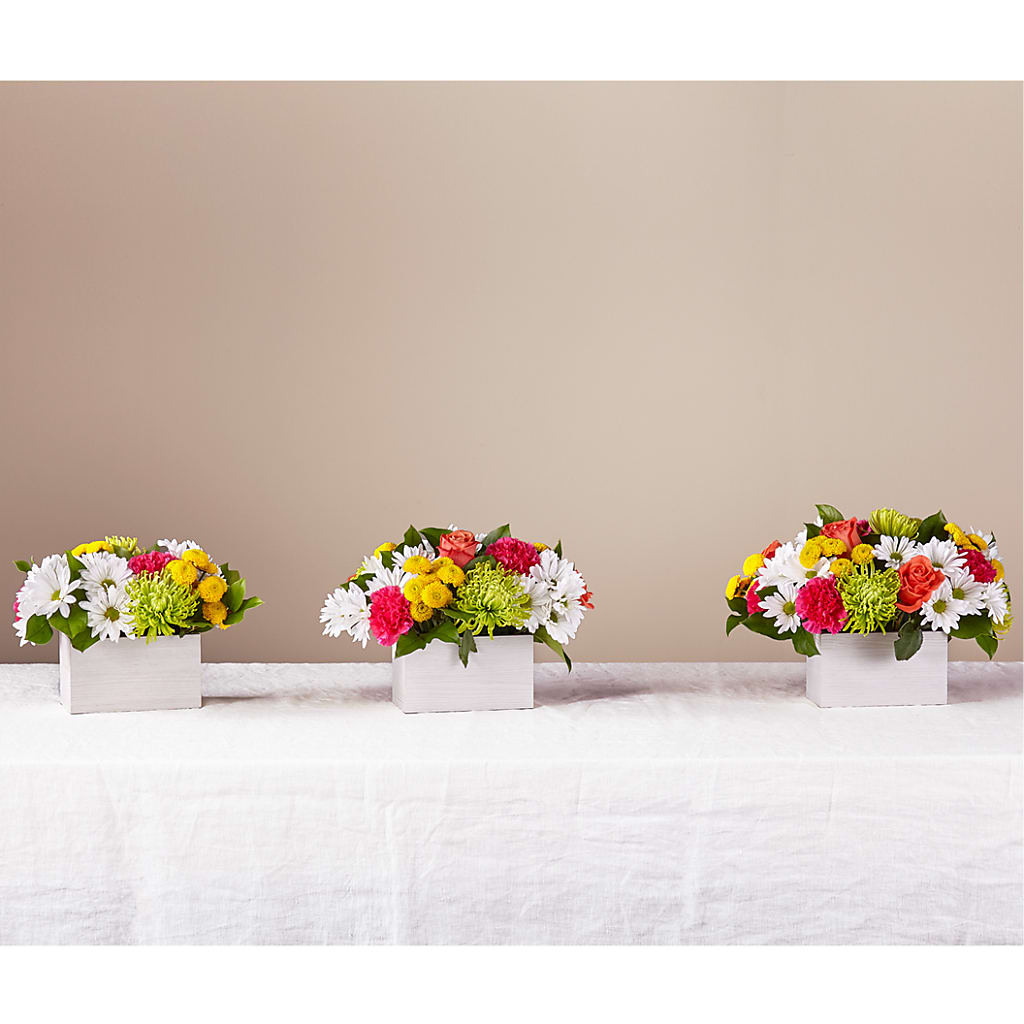 Sorbet Bouquet – BELLE FLEURS & DESSINS, Lexington KY