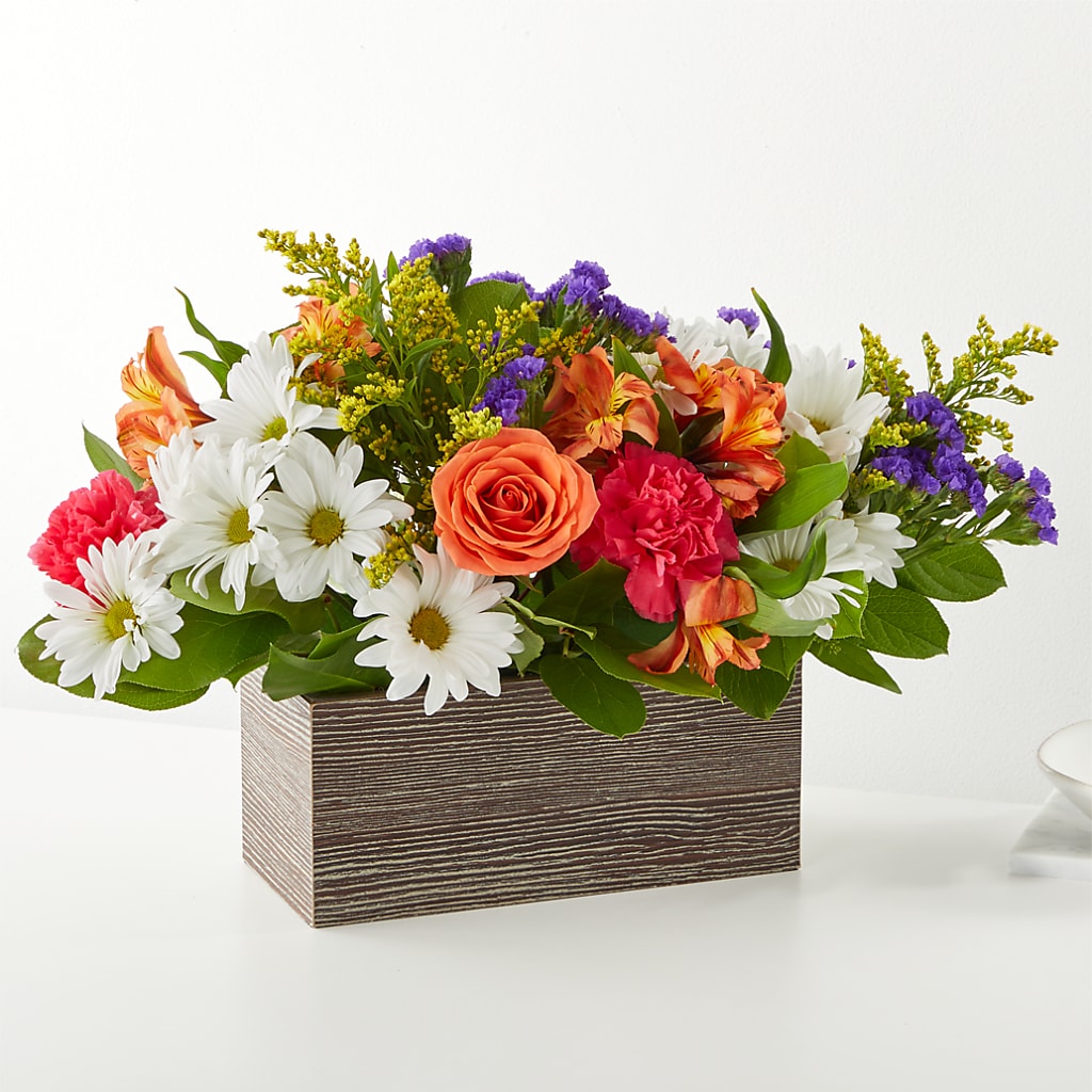 Oopsie Daisy Box Bouquet – BELLE FLEURS & DESSINS, Lexington KY