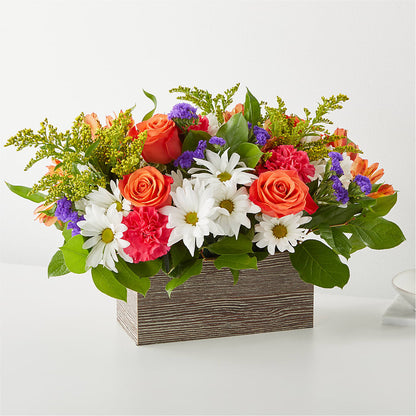 Oopsie Daisy Box Bouquet – BELLE FLEURS & DESSINS, Lexington KY