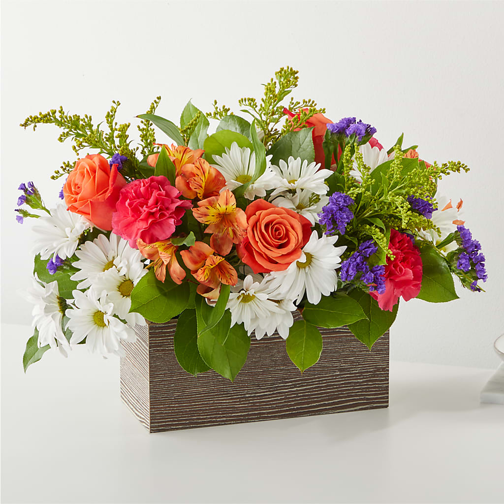 Oopsie Daisy Box Bouquet – BELLE FLEURS & DESSINS, Lexington KY