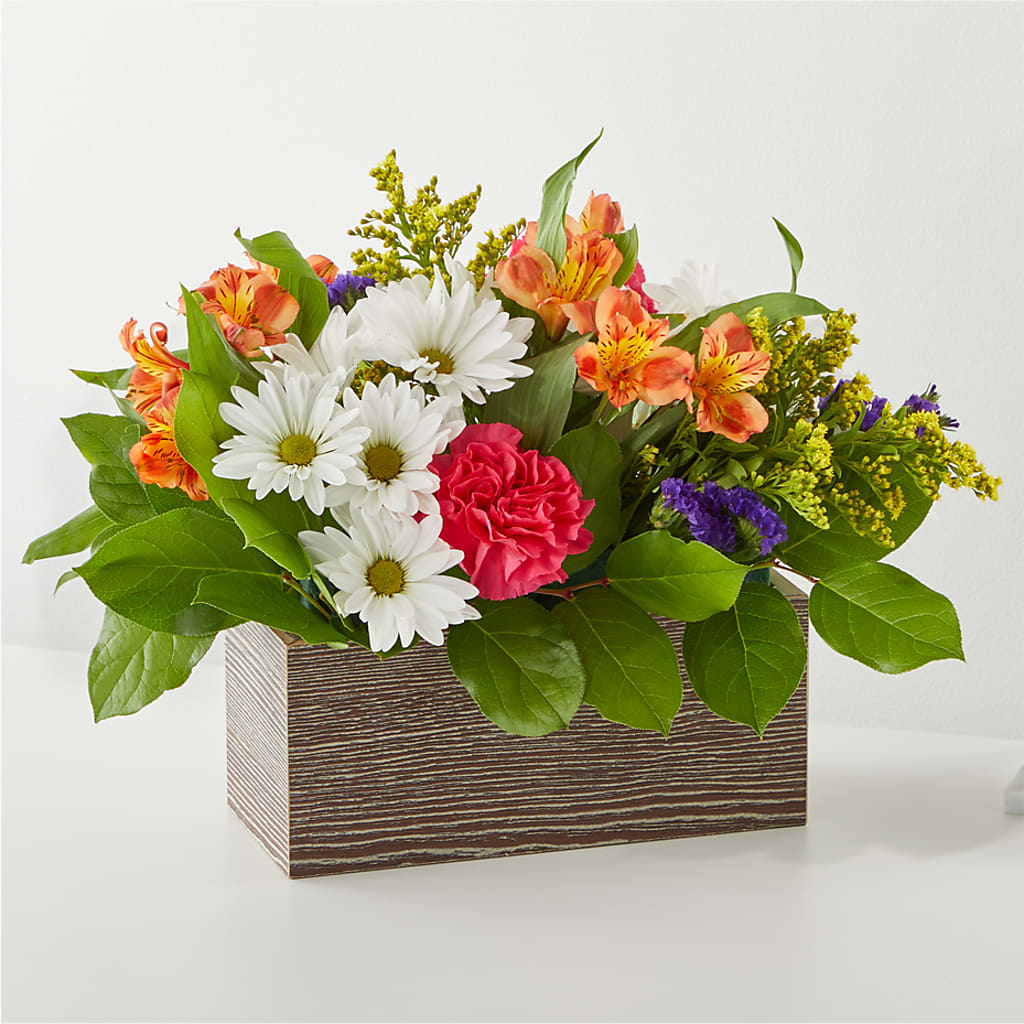 Oopsie Daisy Box Bouquet – BELLE FLEURS & DESSINS, Lexington KY