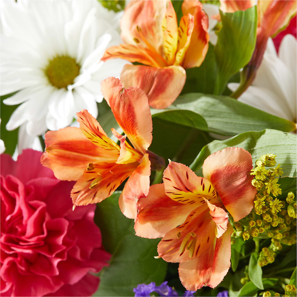 Oopsie Daisy Box Bouquet – BELLE FLEURS & DESSINS, Lexington KY