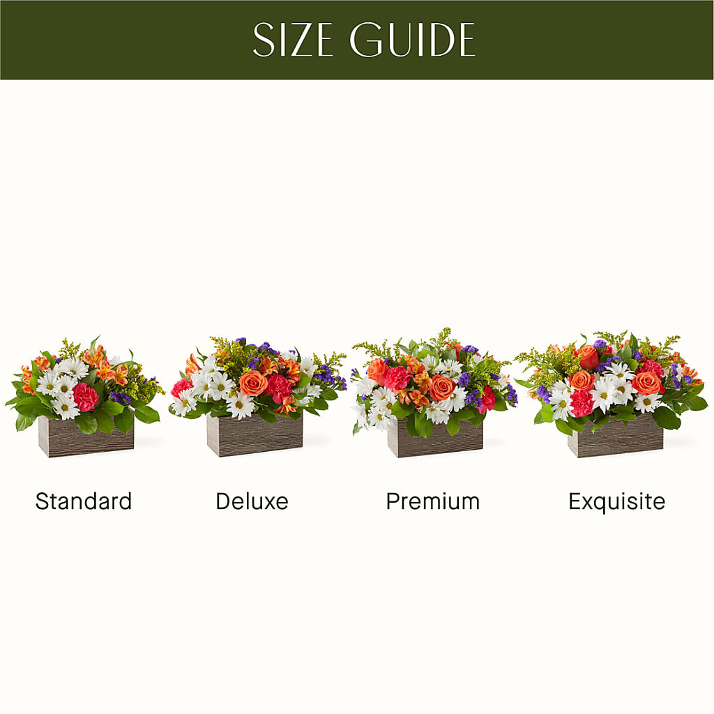 Oopsie Daisy Box Bouquet – BELLE FLEURS & DESSINS, Lexington KY