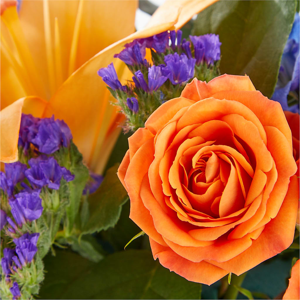 Radiant Citrus Box Bouquet – BELLE FLEURS & DESSINS, Lexington KY