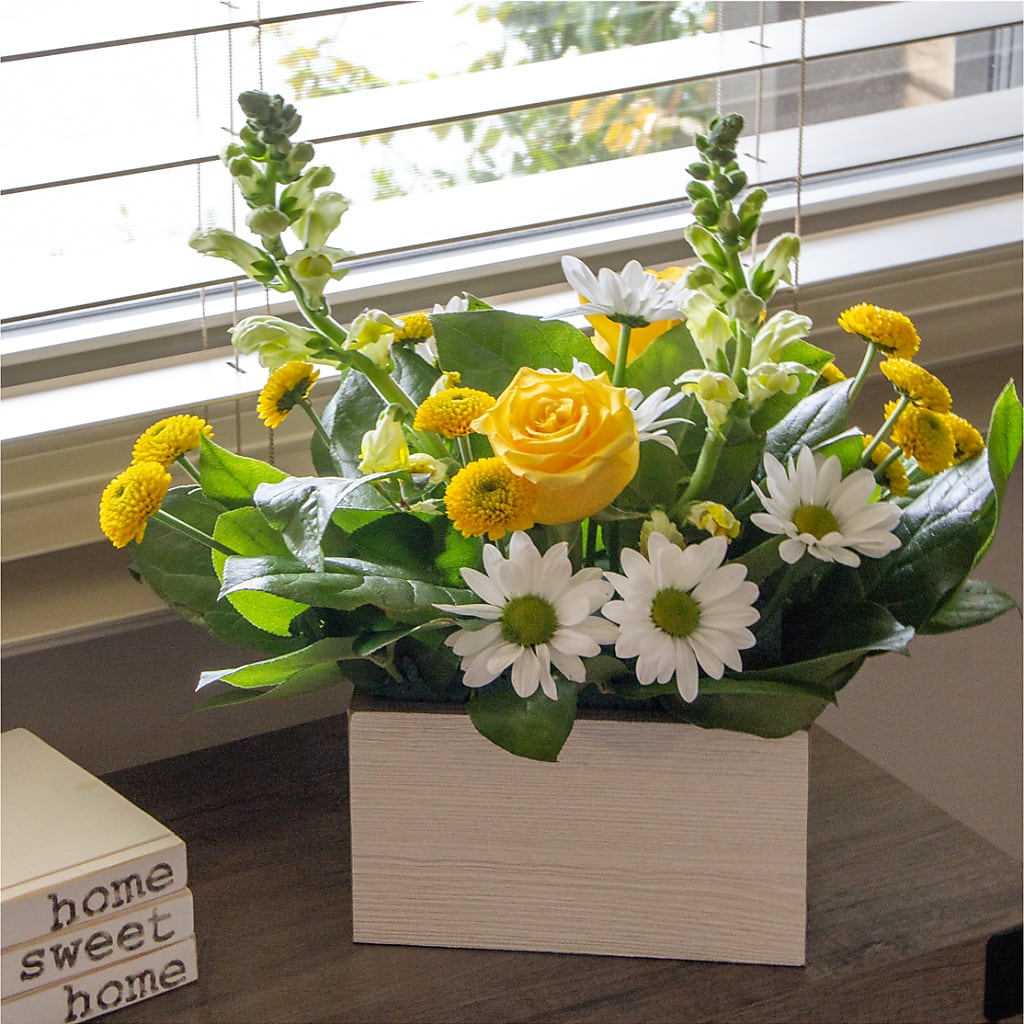 Sun Salutation Box Bouquet – BELLE FLEURS & DESSINS, Lexington KY