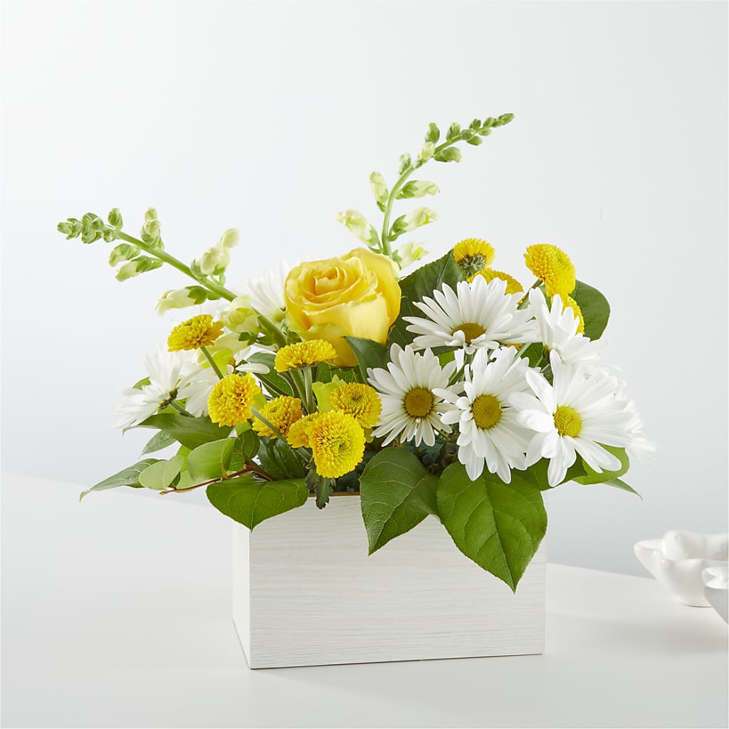 Sun Salutation Box Bouquet – BELLE FLEURS & DESSINS, Lexington KY