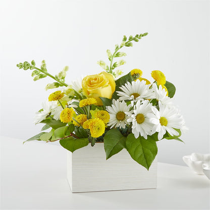 Sun Salutation Box Bouquet – BELLE FLEURS & DESSINS, Lexington KY