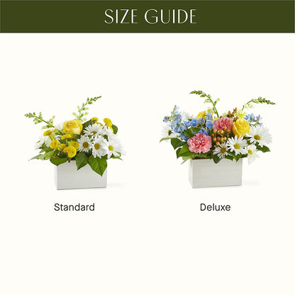 Sun Salutation Box Bouquet – BELLE FLEURS & DESSINS, Lexington KY
