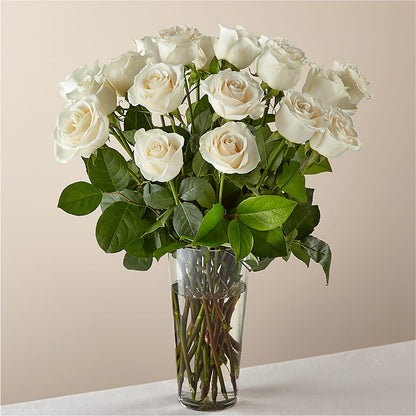 Long Stem White Rose Bouquet – BELLE FLEURS & DESSINS, Lexington KY