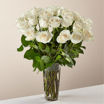 Long Stem White Rose Bouquet – BELLE FLEURS & DESSINS, Lexington KY