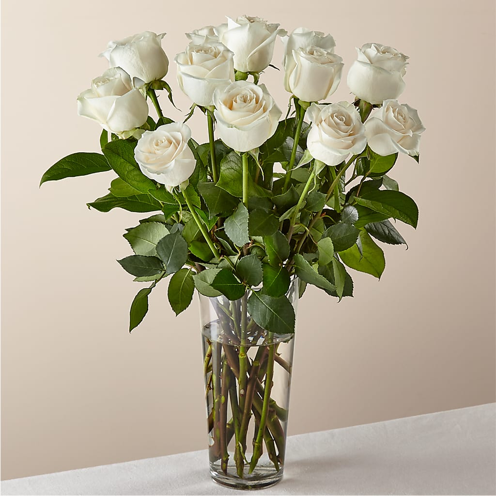 Long Stem White Rose Bouquet – BELLE FLEURS & DESSINS, Lexington KY