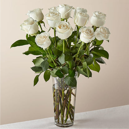 Long Stem White Rose Bouquet – BELLE FLEURS & DESSINS, Lexington KY