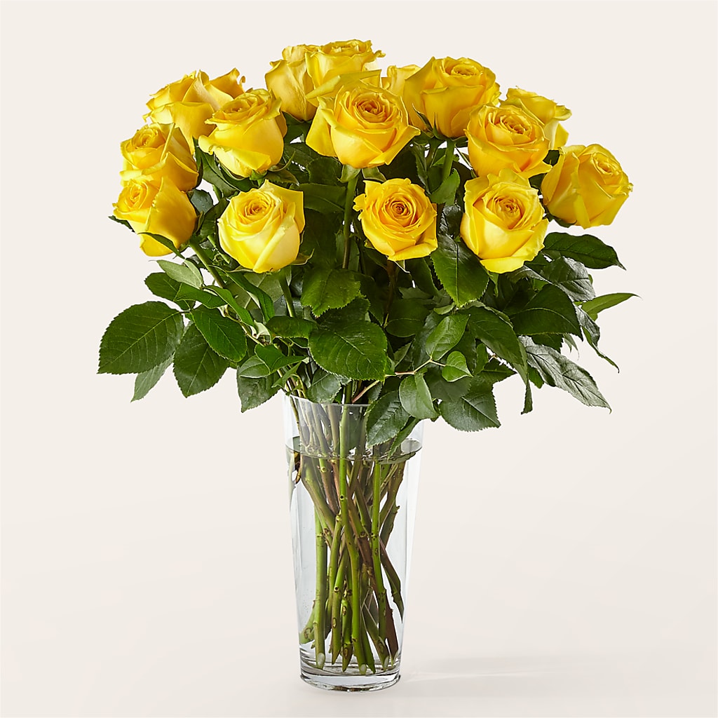 Long Stem Yellow Rose Bouquet – BELLE FLEURS & DESSINS, Lexington KY