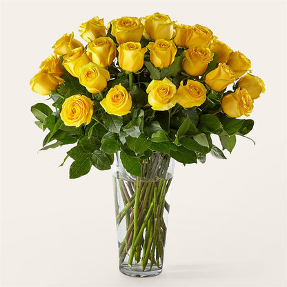 Long Stem Yellow Rose Bouquet – BELLE FLEURS & DESSINS, Lexington KY