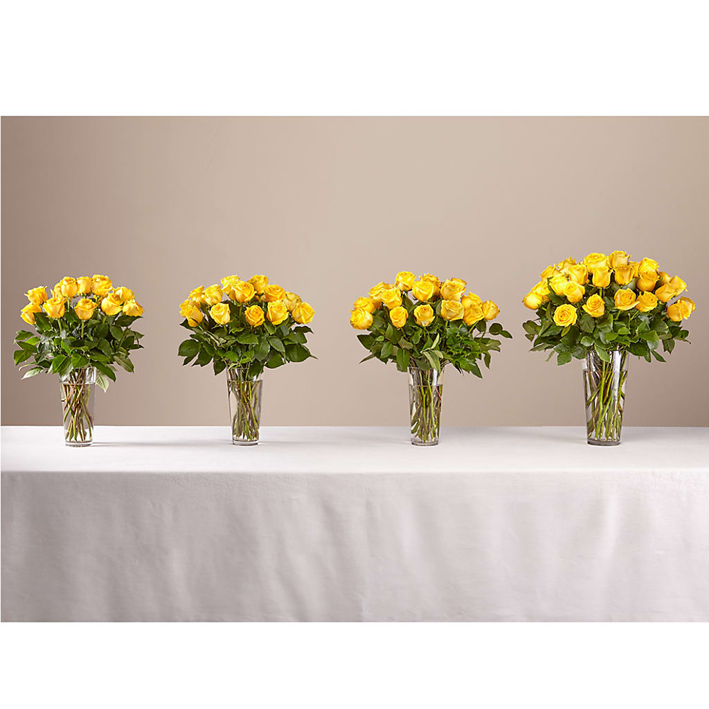 Long Stem Yellow Rose Bouquet – BELLE FLEURS & DESSINS, Lexington KY