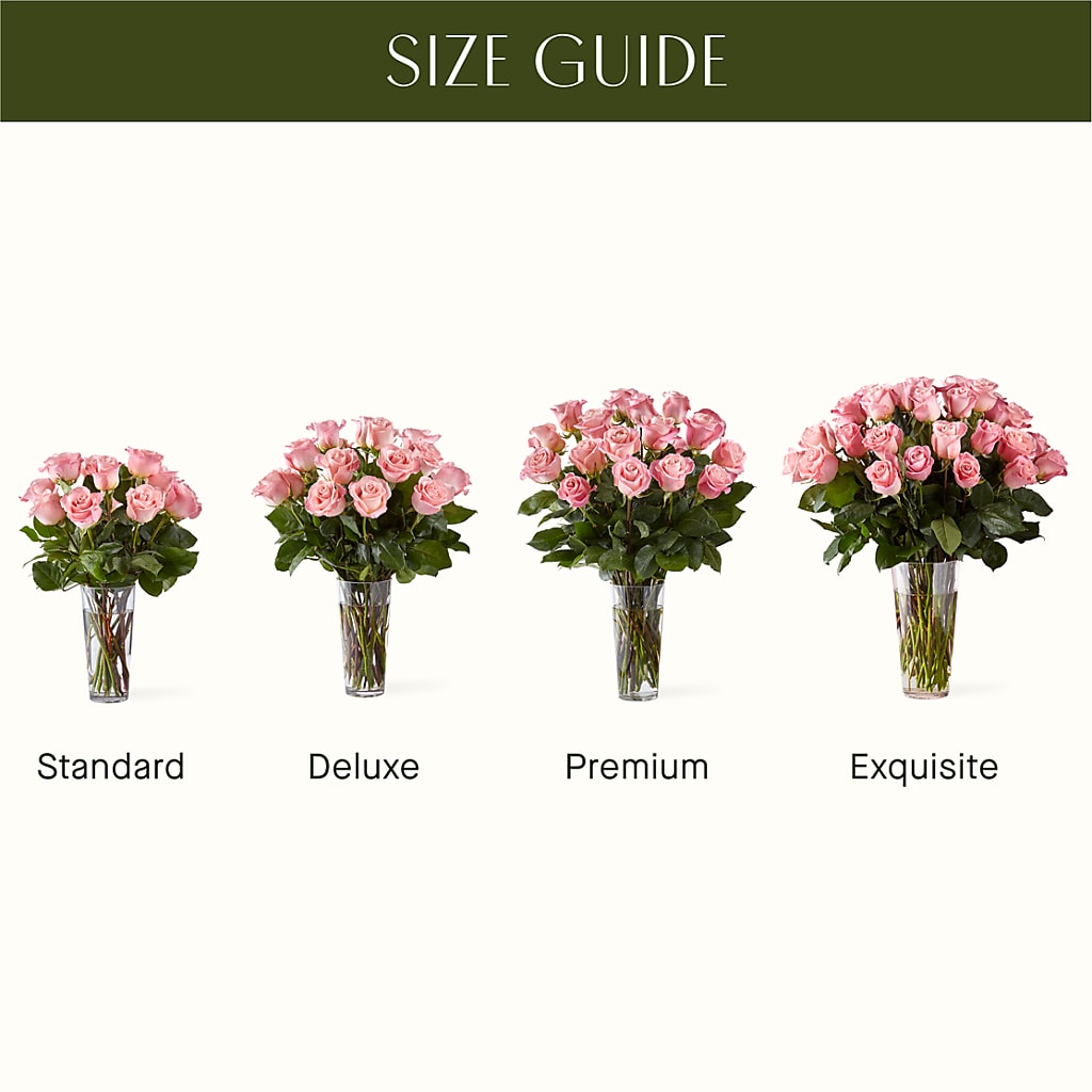 Long Stem Pink Rose Bouquet – BELLE FLEURS & DESSINS, Lexington KY