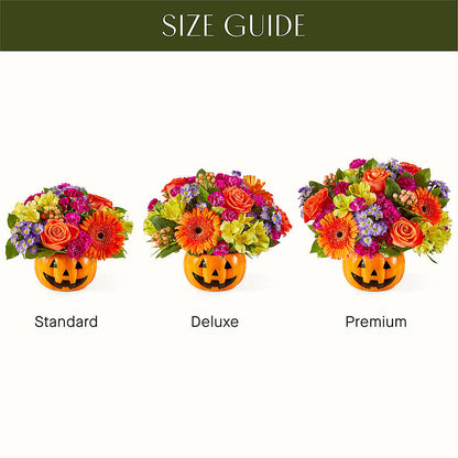 Tricks & Treats Pumpkin – BELLE FLEURS & DESSINS, Lexington KY