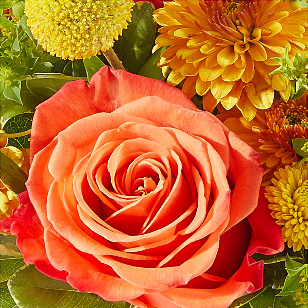 Gourdgeous Pumpkin – BELLE FLEURS & DESSINS, Lexington KY
