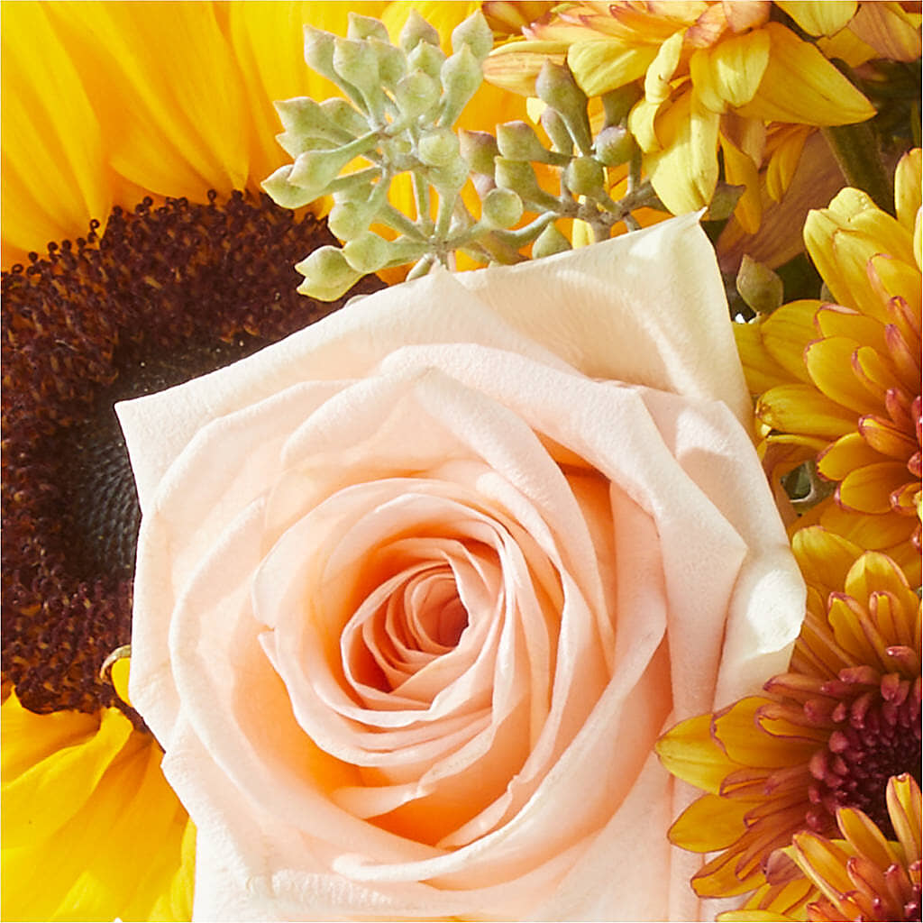 Pumpkin to Talk About Bouquet – BELLE FLEURS & DESSINS, Lexington KY