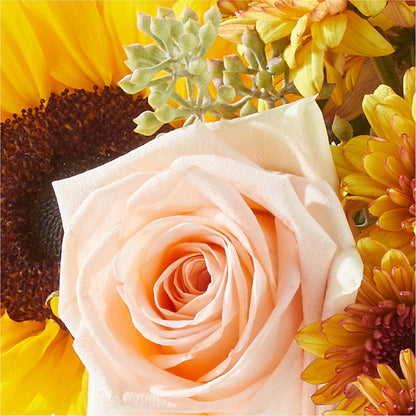Pumpkin to Talk About Bouquet – BELLE FLEURS & DESSINS, Lexington KY