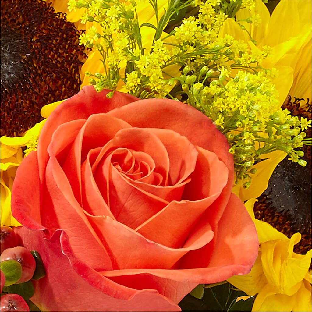 Pick of the Patch Pumpkin Bouquet – BELLE FLEURS & DESSINS, Lexington KY