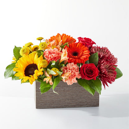 Autumn Orchard Bouquet – BELLE FLEURS & DESSINS, Lexington KY