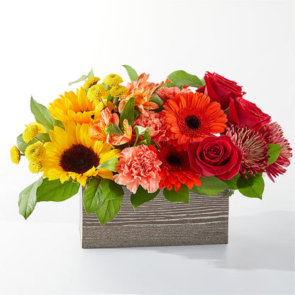 Autumn Orchard Bouquet – BELLE FLEURS & DESSINS, Lexington KY
