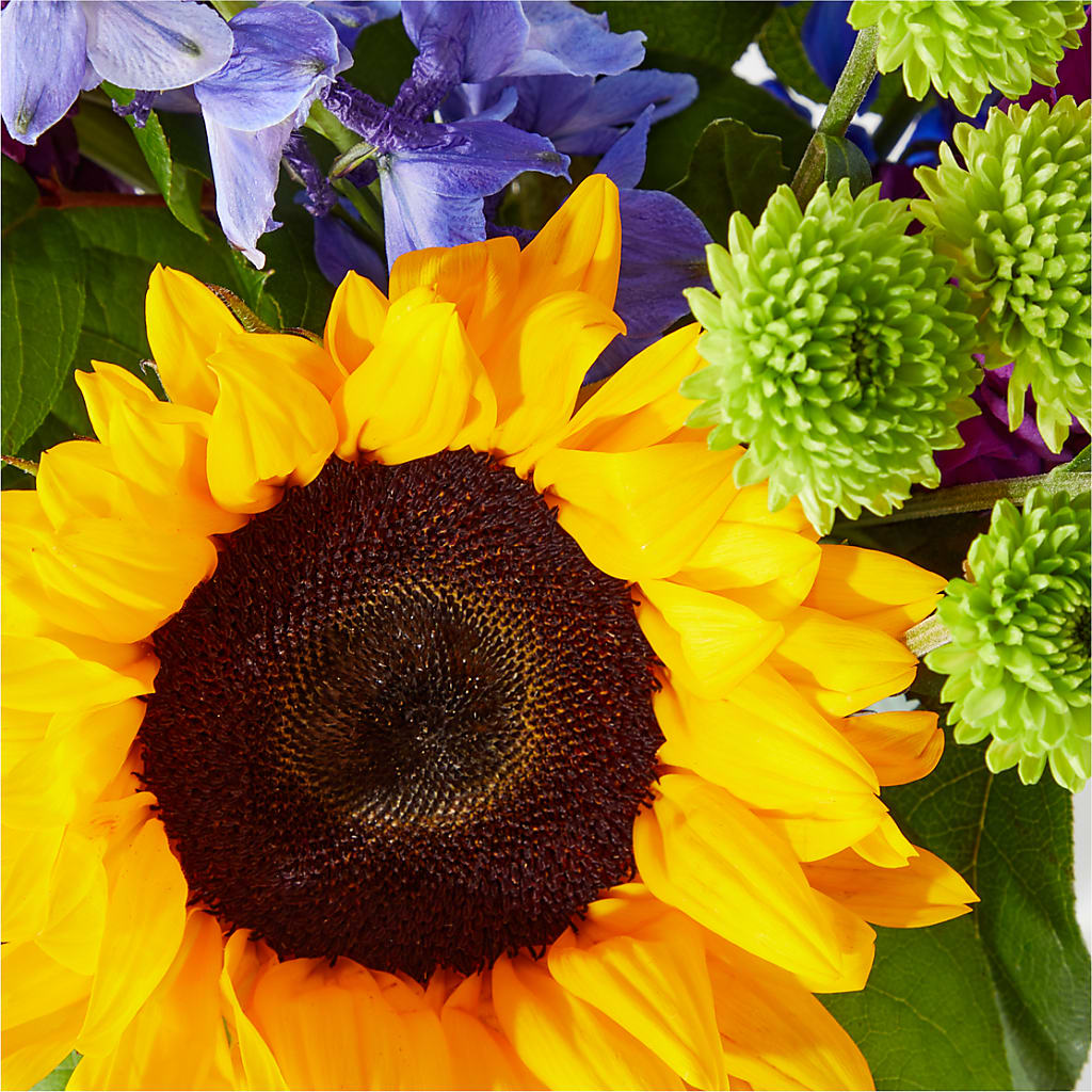 Catching Rays Bouquet – BELLE FLEURS & DESSINS, Lexington KY