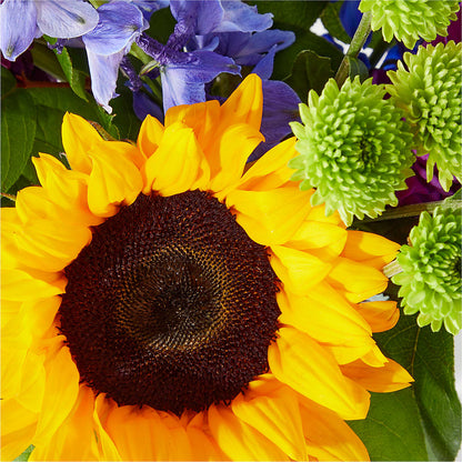 Catching Rays Bouquet – BELLE FLEURS & DESSINS, Lexington KY