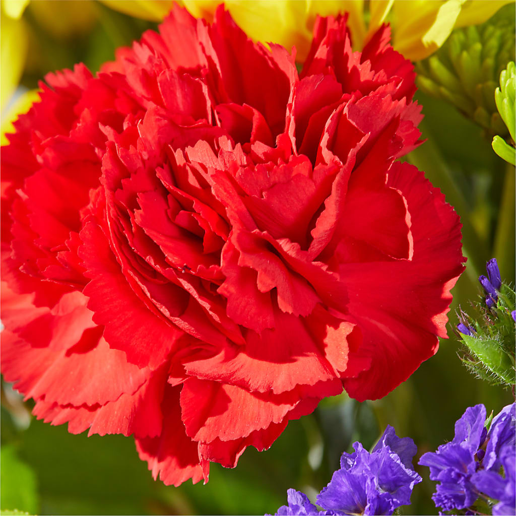 Brighter Days Bouquet – BELLE FLEURS & DESSINS, Lexington KY