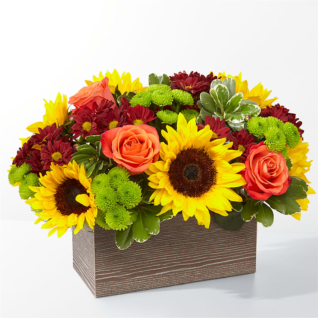 Happy Harvest Garden – BELLE FLEURS & DESSINS, Lexington KY