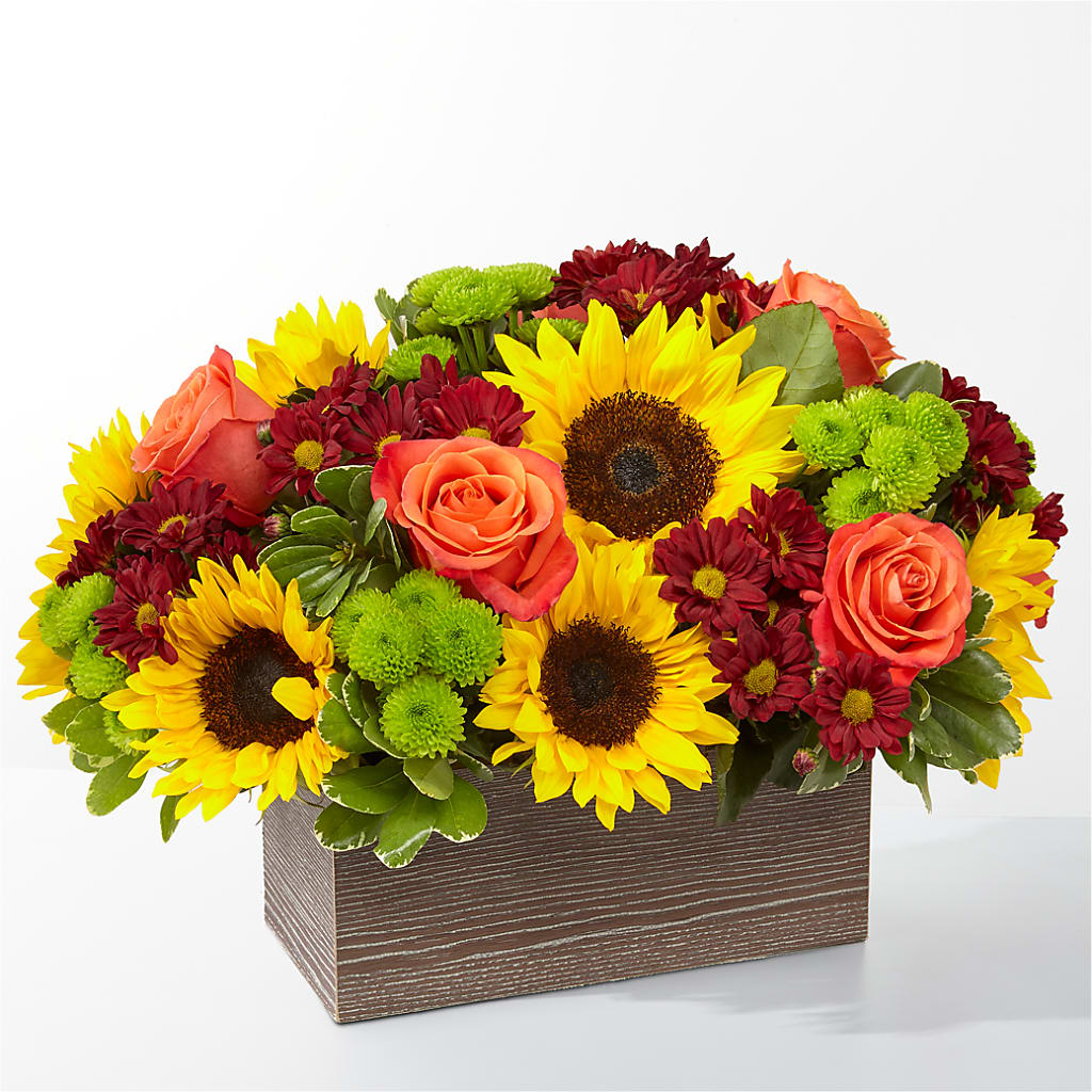 Happy Harvest Garden – BELLE FLEURS & DESSINS, Lexington KY