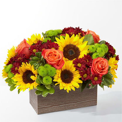 Happy Harvest Garden – BELLE FLEURS & DESSINS, Lexington KY