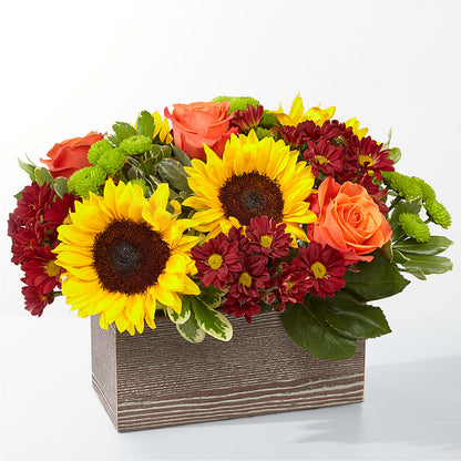 Happy Harvest Garden – BELLE FLEURS & DESSINS, Lexington KY