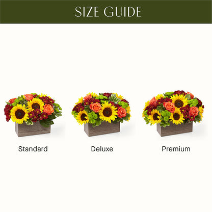 Happy Harvest Garden – BELLE FLEURS & DESSINS, Lexington KY