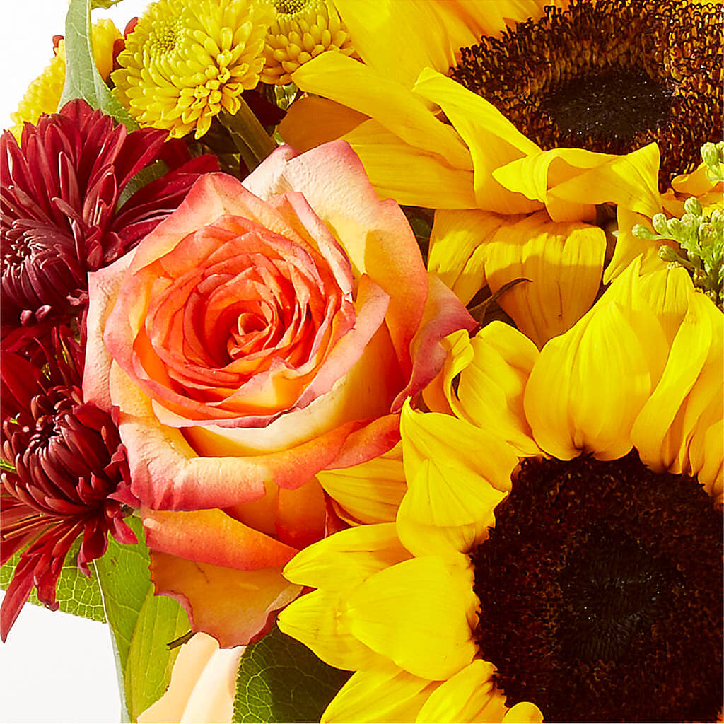 Golden Gourd Pumpkin Bouquet – BELLE FLEURS & DESSINS, Lexington KY